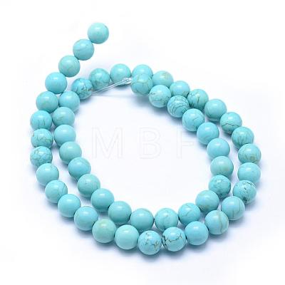 Natural Magnesite Beads Strands TURQ-G148-07-8mm-1