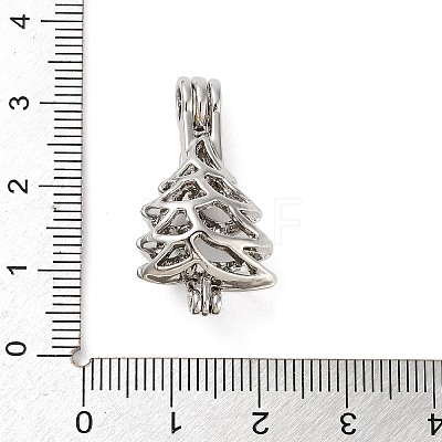 Alloy Bead Cage Pendants FIND-M012-01C-P-1