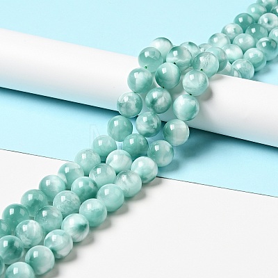 Natural Glass Beads Strands G-I247-31E-1