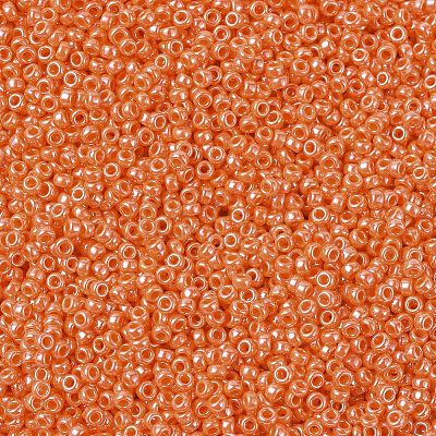 MIYUKI Round Rocailles Beads X-SEED-G007-RR0424-1