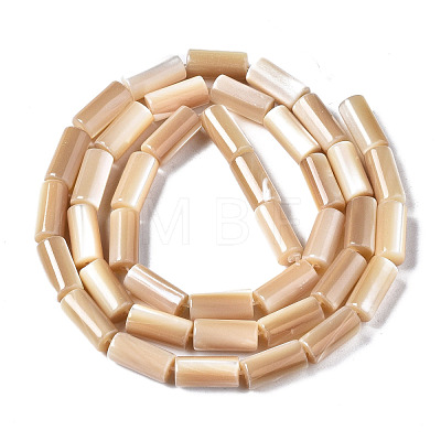 Natural Trochid Shell/Trochus Shell Beads Strands SSHEL-S266-020B-04-1