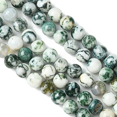 Natural Tree Agate Beads Strands G-K194-8mm-02-1