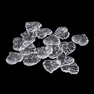 Transparent Acrylic Charms TACR-G050-03A-1