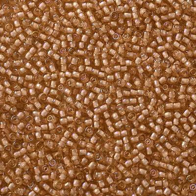 TOHO Round Seed Beads X-SEED-TR11-0923-1