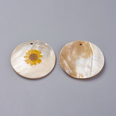 Freshwater Shell Pendants SHEL-G011-03-1