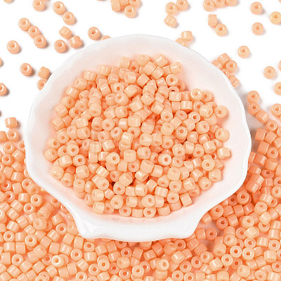 Opaque Baking Paint Glass Seed Beads SEED-T008-02D-1