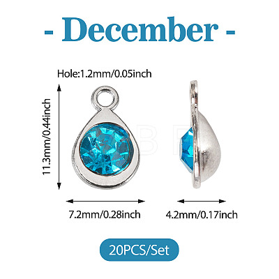 20Pcs Faceted Glass Charms RGLA-TADJ0001-01J-1