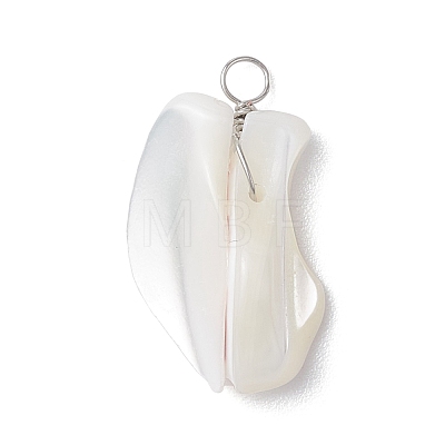 Natural Trochid Shell Pendants PALLOY-JF02809-01-1