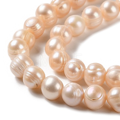 Natural Cultured Freshwater Pearl Beads Strands PEAR-E018-26-1