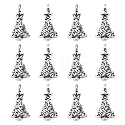 Tibetan Style Alloy Pendants LF0062Y-NF-1