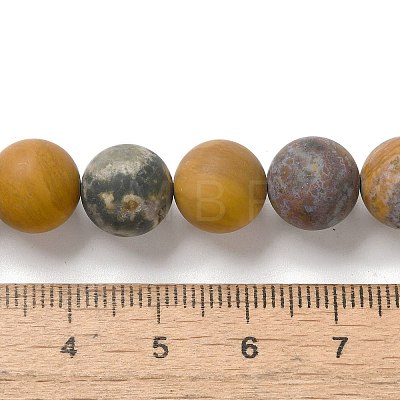 Natural Ocean Agate/Ocean Jasper Beads Strands G-G772-06-B-1