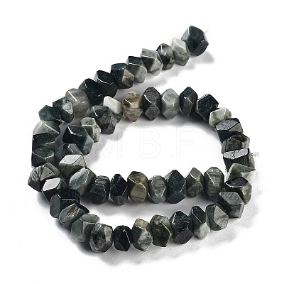 Natural Eagle Eye Stone Beads Strands G-D091-A03-1