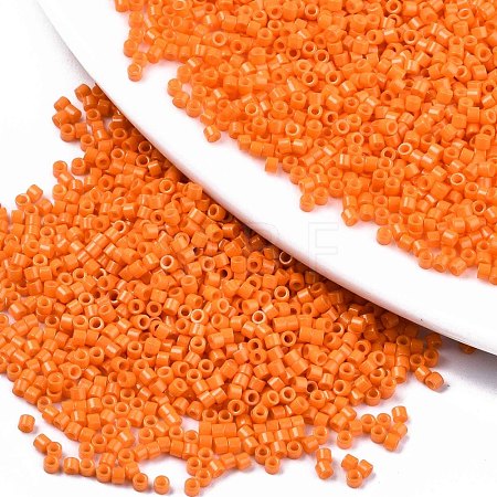 FGB 11/0 Grade A Glass Seed Beads X-SEED-S030-1019-1
