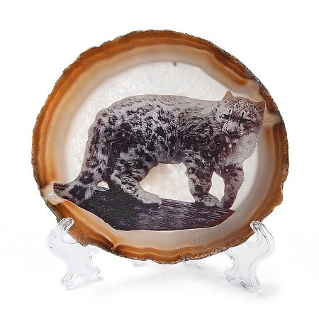 Printed Natural Agate Slice Stone Ornament DJEW-M011-03G-1