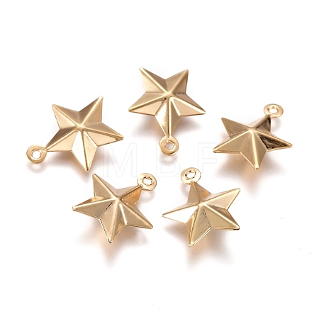 304 Stainless Steel Pendants STAS-I138-12G-1