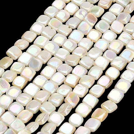 Electroplated Natural Freshwater Shell Beads Strands SH-CBA93AD-05-1