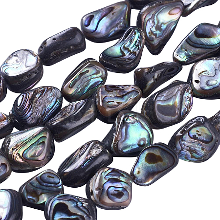 1 Strand Natural Abalone Shell/Paua Shell Beads Strands SSHEL-PA0001-03-1