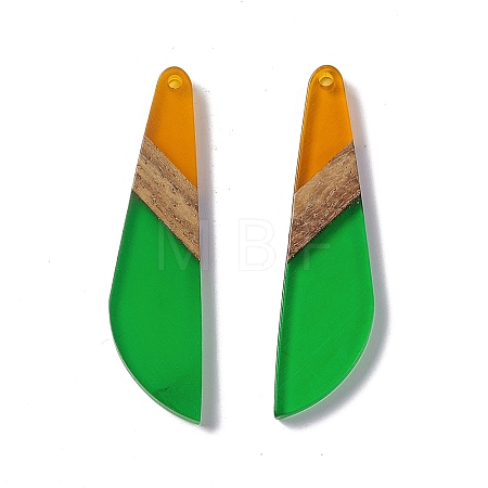 Transparent Resin & Walnut Wood Big Pendants RESI-M027-07C-1