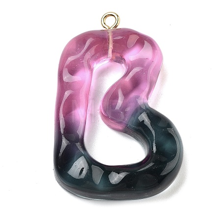 Resin Pendant LS-FIND-Q107-01B-01-1