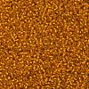 TOHO 11/0 Round Beads SEED-XTR11-0030F-2