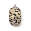 Natural Dalmatian Jasper Pendants G-k302-B21-2