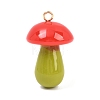 Opaque Resin Big Pendants FIND-E053-02A-G-1