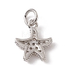 Brass Micro Pave Cubic Zirconia Charms X-ZIRC-F132-13P-2
