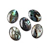 Natural Paua Shell Epoxy Resin Cabochons LS-SSHEL-S279-01B-1