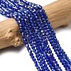 Glass Beads Strands EGLA-S056-2mm-05-3