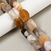 Natural Yellow Botswana Agate Beads Strands G-F796-C05-01-1
