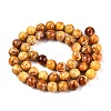 Natural Imperial Jasper Beads Strands G-N342-63J-2