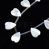 Natural White Shell Beads Strands SSHEL-S278-121B-01B-3