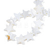 Natural Freshwater Shell Beads Strands LS-SHEL-S278-01D-01-4