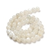 Natural White Moonstone Beads Strands X-G-D294-8mm-3