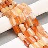 Natural Botswana Agate Beads Strands G-G068-A18-01-2