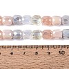 Electroplate Mixed Styles Glass Beads Strands EGLA-N022-13A-A04-4