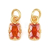 Brass Pave Cubic Zirconia Charms KK-K340-50G-01-1