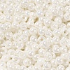 Glass Seed Beads SEED-H002-E-A121-3