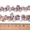 Natural Baroque Keshi Pearl Beads Strands PEAR-S020-Z04-03B-5