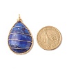 Dyed Natural Lapis Lazuli Pendants PALLOY-JF01332-4