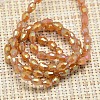 Electroplate Glass Beads Strands X-EGLA-J013-4X6mm-F05-2