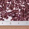 MIYUKI Delica Beads X-SEED-J020-DB1751-4