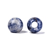 Natural Blue Spot Jasper European Beads G-Q607-02L-2