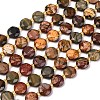 Natural Picasso Jasper/Polychrome Jasper Beads Strands G-C116-A118-01-5