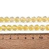 Crackle Transparent Glass Beads Strands GLAA-N068-06A-06-4