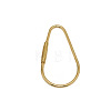 Brass Screw Carabiner Lock Charms LS-KK-ZX025-66C-1