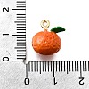 Zinc Alloy Enamel Charms FIND-U029-01G-12-3