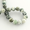Natural Tree Agate Round Gemstone Beads Strands G-R255-10mm-2