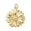 Brass Charms KK-F930-13G-1