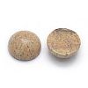 Natural Picture Jasper Cabochons G-P393-R51-12MM-2
